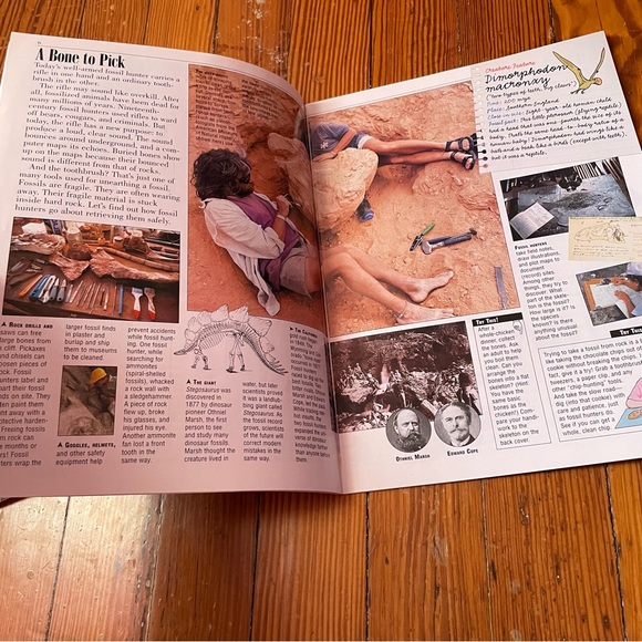 Kids Discover Bundle - Indiana Jones Theme - Picture 5 of 13